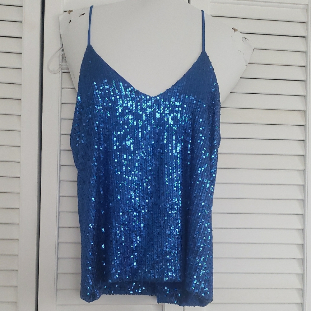 Blue Sequin Women's Top